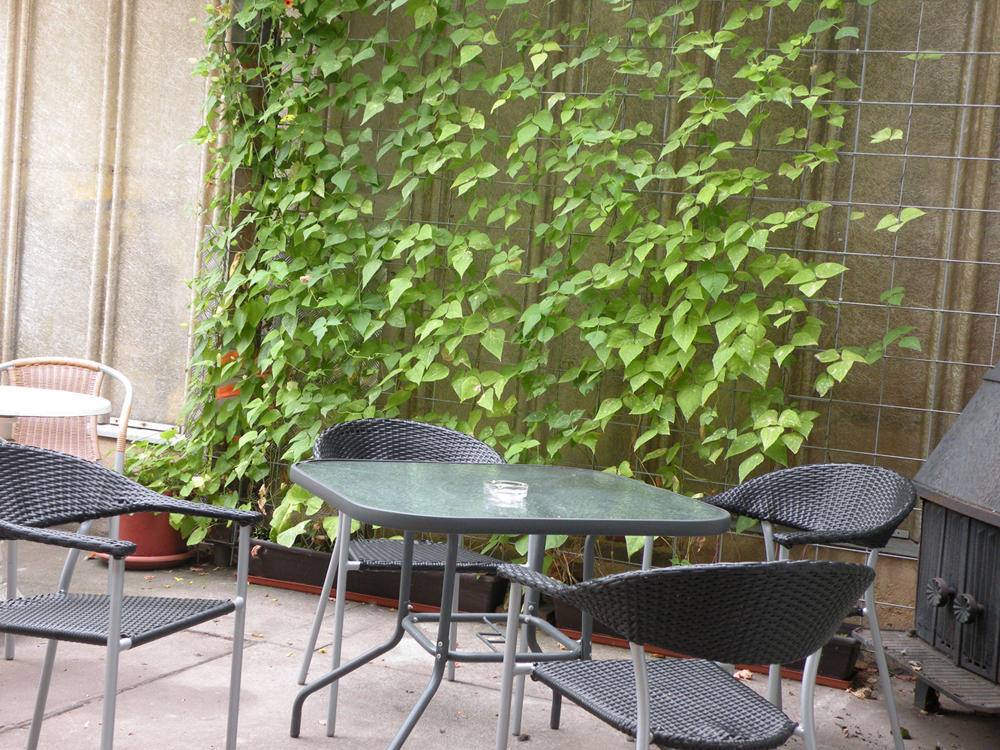 Apartments Schramm Άιζεναχ Εξωτερικό φωτογραφία